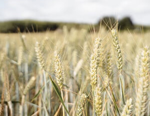 曼城横扫葡超豪门,夺得分组第一